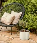 eden 25cm linen white